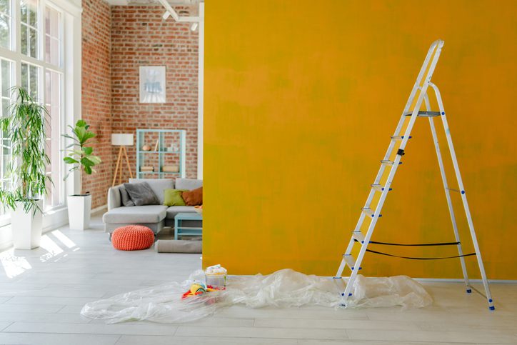 Couanon Renovation Creation Suppression Cloison Placo Appartement 06