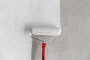Couanon Renovation Peinture Decorative Enduit Interieur Alpes Maritimes